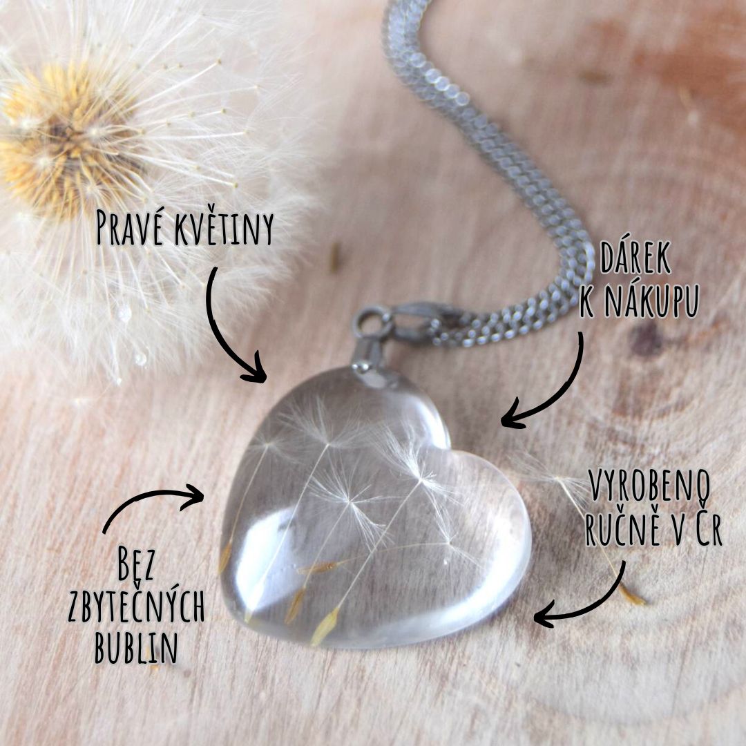 Velké srdíčko s pampeliškovým chmýřím