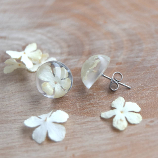 Pecky s bílou kalinou