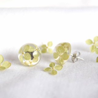 Pecky se zelenými hortenziemi