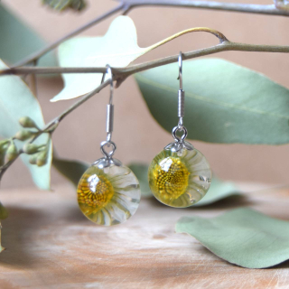 Kuličkové náušnice s pravými sedmikráskami