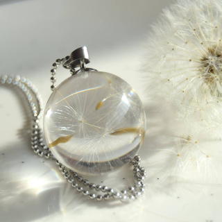 Rozfoukané pampelišky